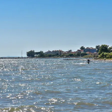 Camp Medanic